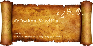 Énekes Virág névjegykártya